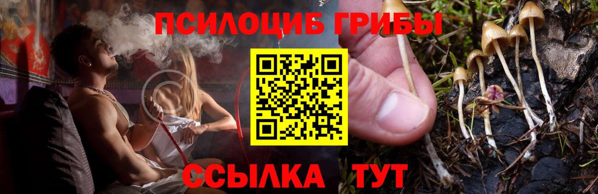 Галлюциногенные грибы ЛСД  Вход с VPN  Калининград 